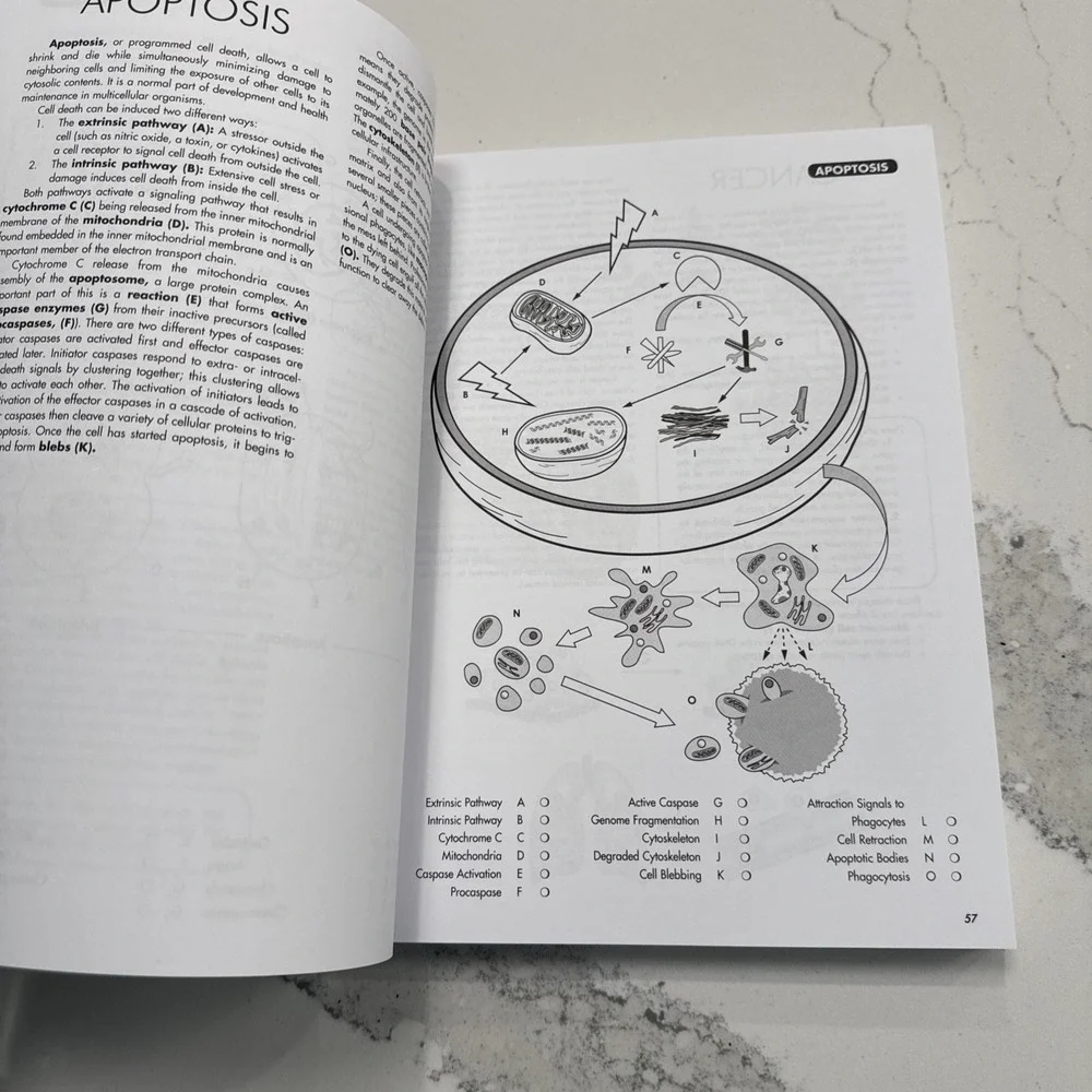 Biology Coloring Workbook, 2nd Edition. Brand New